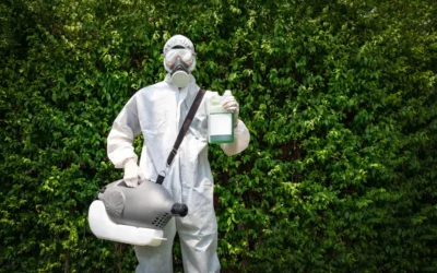 Why Try Eco-Friendly Pest Control in The Woodlands, TX?