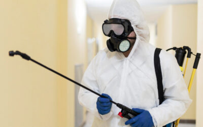 What Does an Exterminator in Conroe,  TX Do?